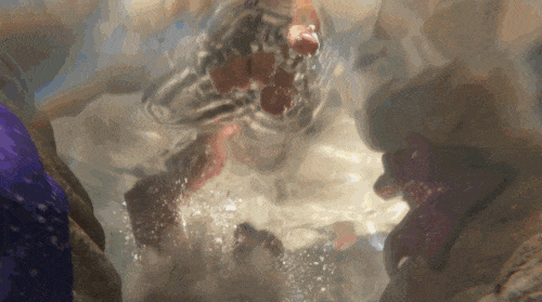 octopus pixar finding dory Google 360