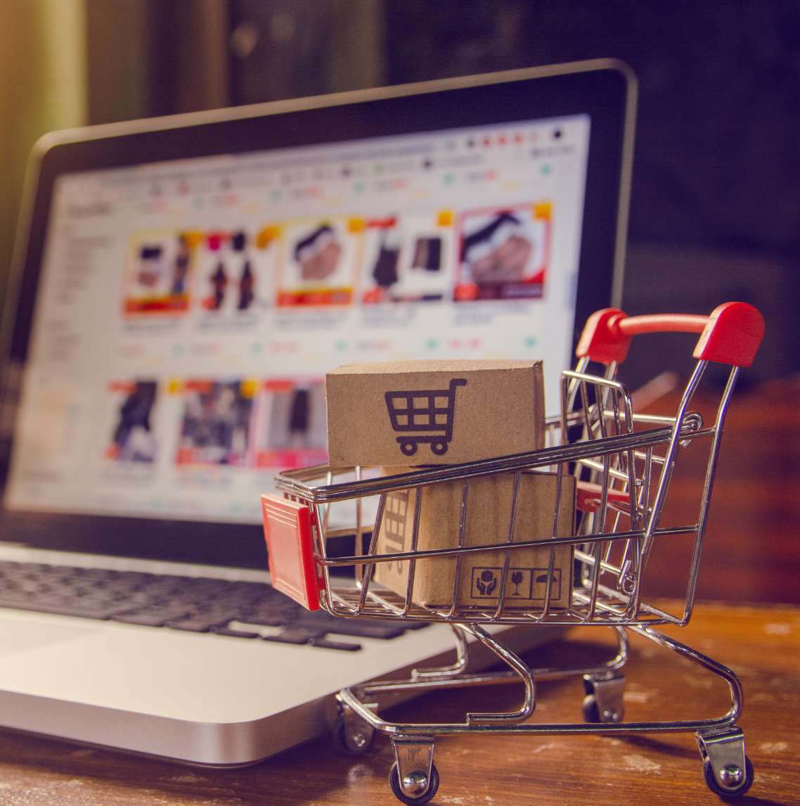 eCommerce SEO Services