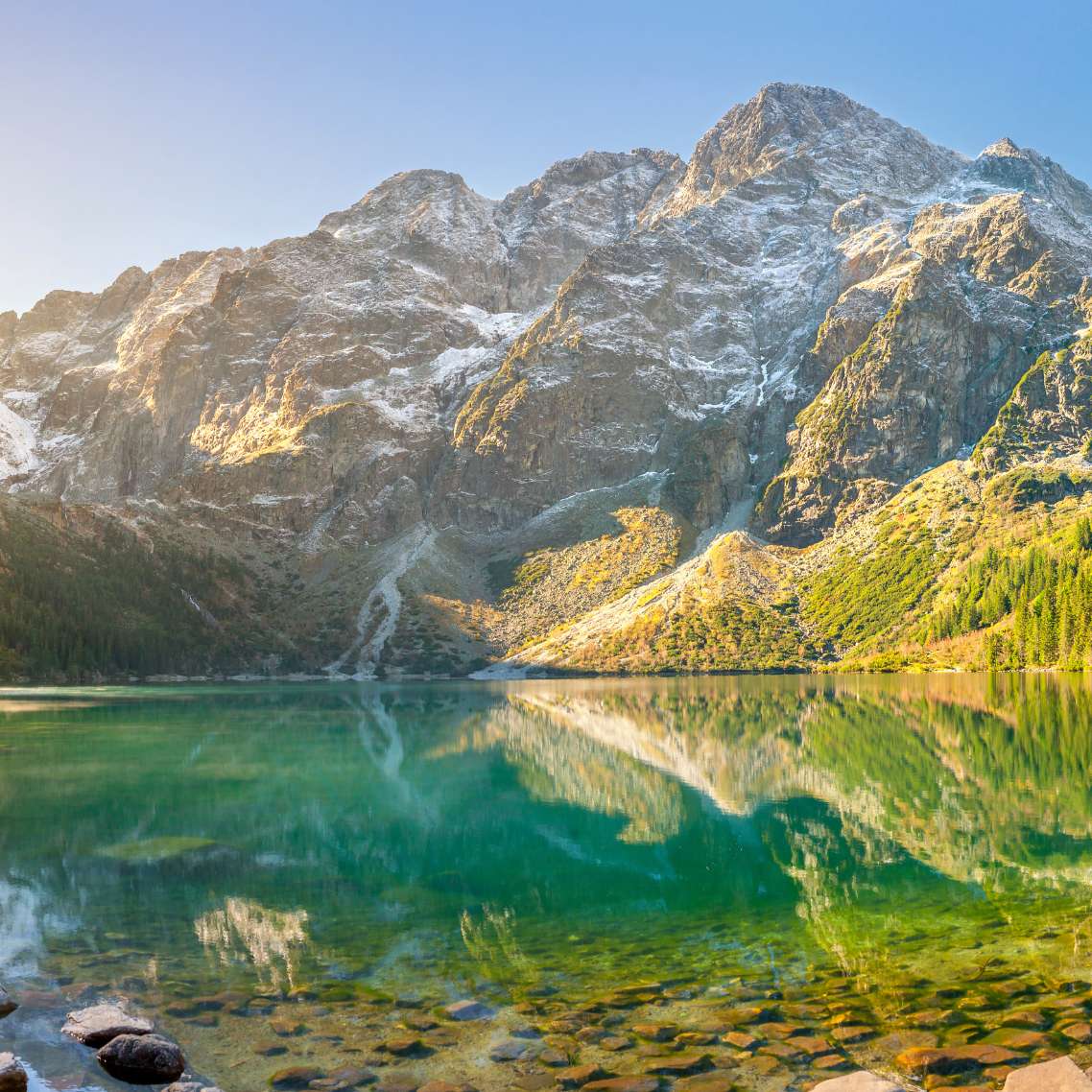 digital marketing services for attractions 1