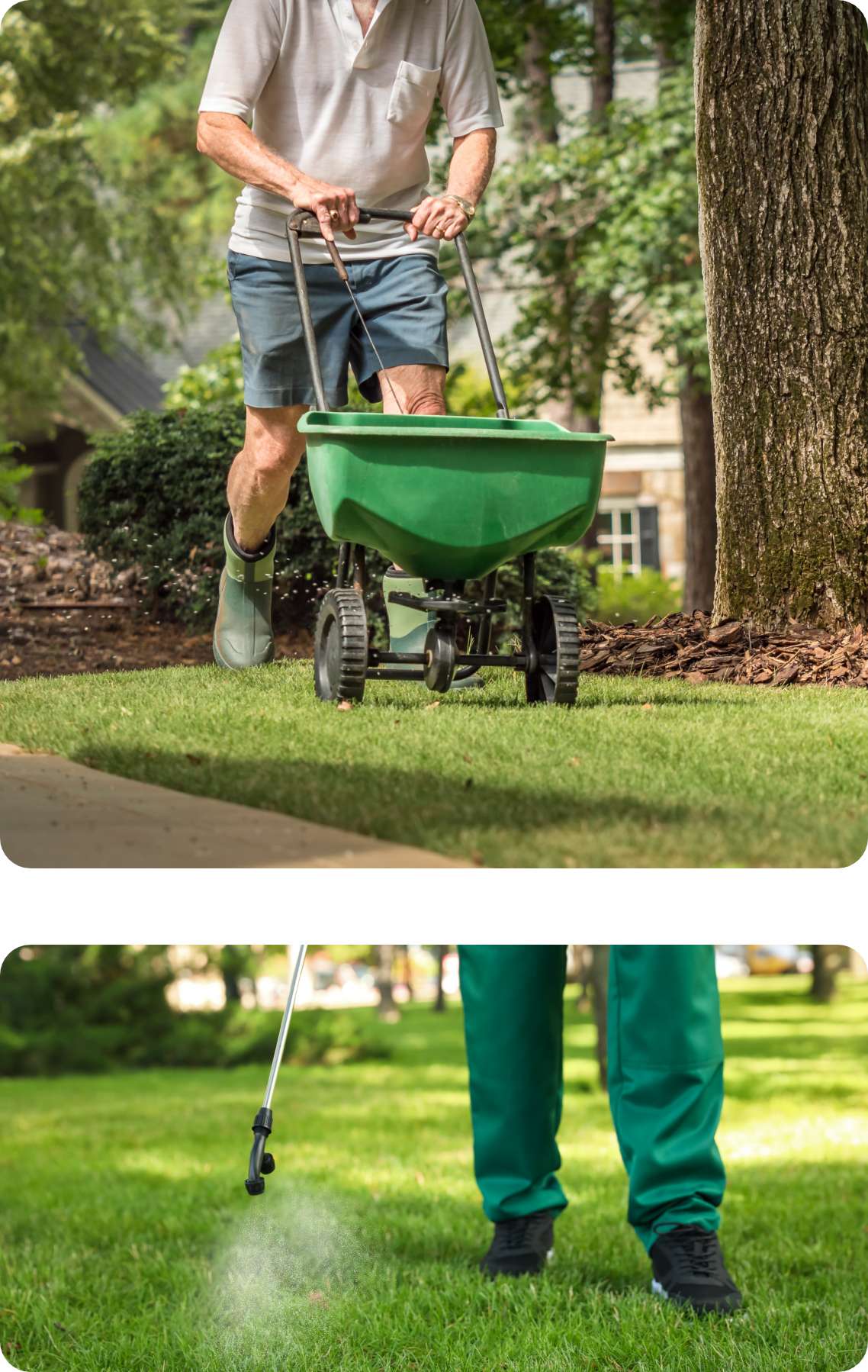 lawn care company digital advertising management