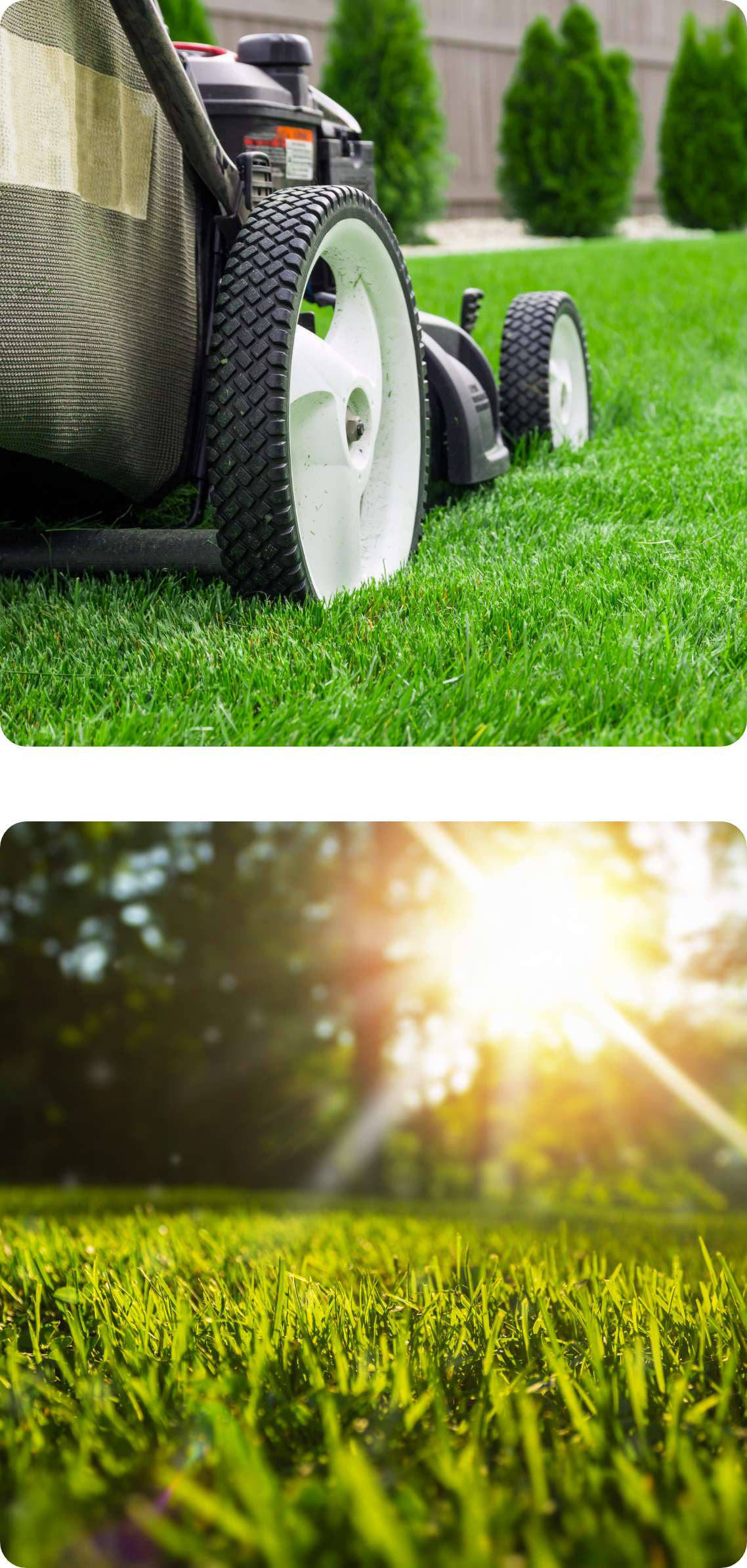 digital marketing for lawn care companies