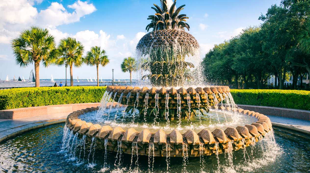 Direct Online Marketing - Internet marketing services provider serving businesses in Charleston, South Carolina