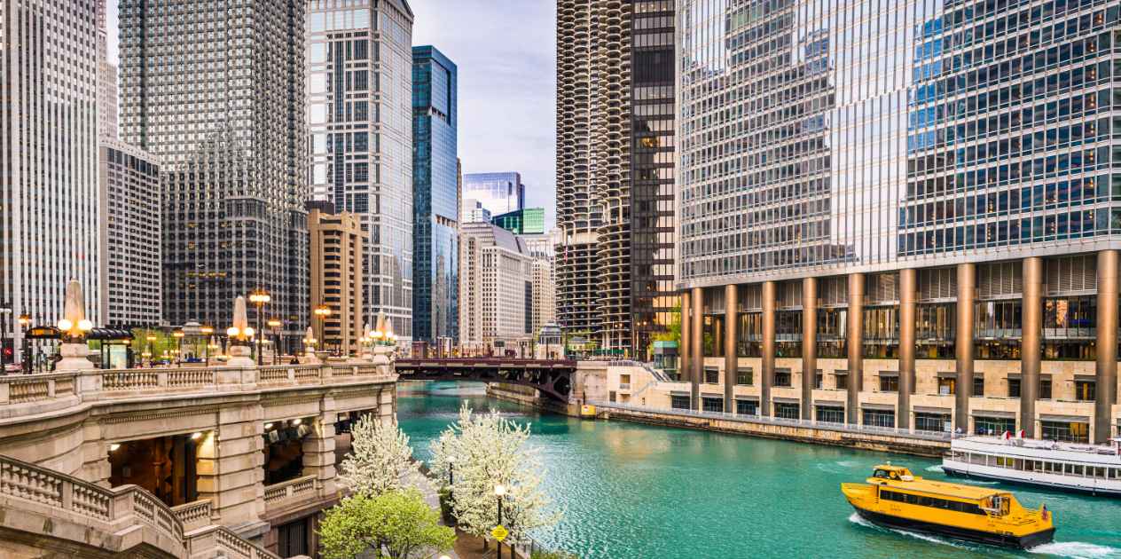 Chicago Digital Marketing Agency - SEO & Web Development Services