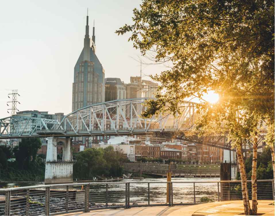 Direct Online Marketing - Nashville digital marketing agency