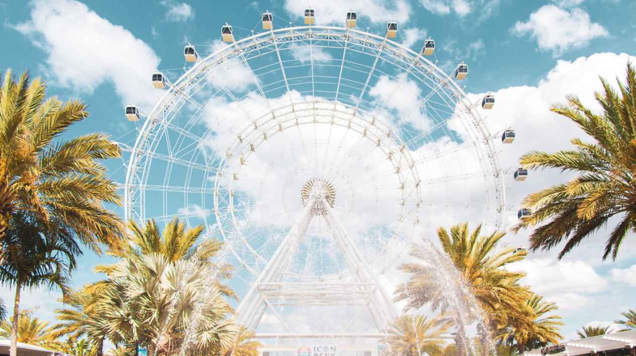 Palm trees and a Ferris wheel - Direct Online Marketing - Internet marketing services provider serving businesses in Orlando, Florida