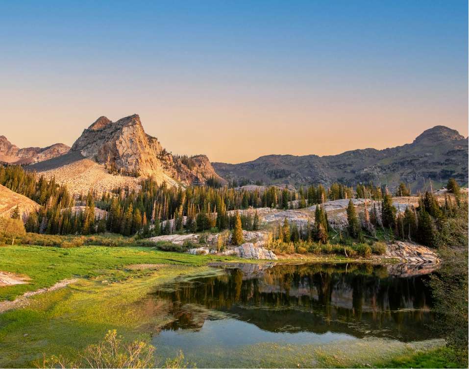 Direct Online Marketing - Internet marketing services provider serving businesses in Salt Lake City, Utah