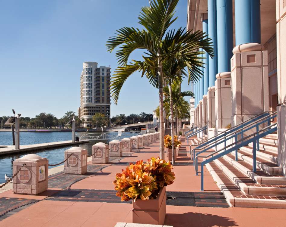 Direct Online Marketing - Internet marketing services provider serving businesses in Tampa, Florida