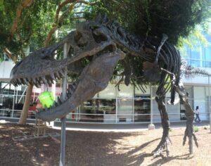 Google's very own T-Rex.