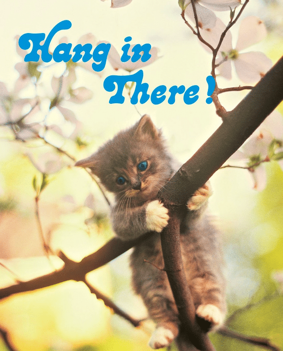 What To Do About Google's Changes to tCPA and tROAS 