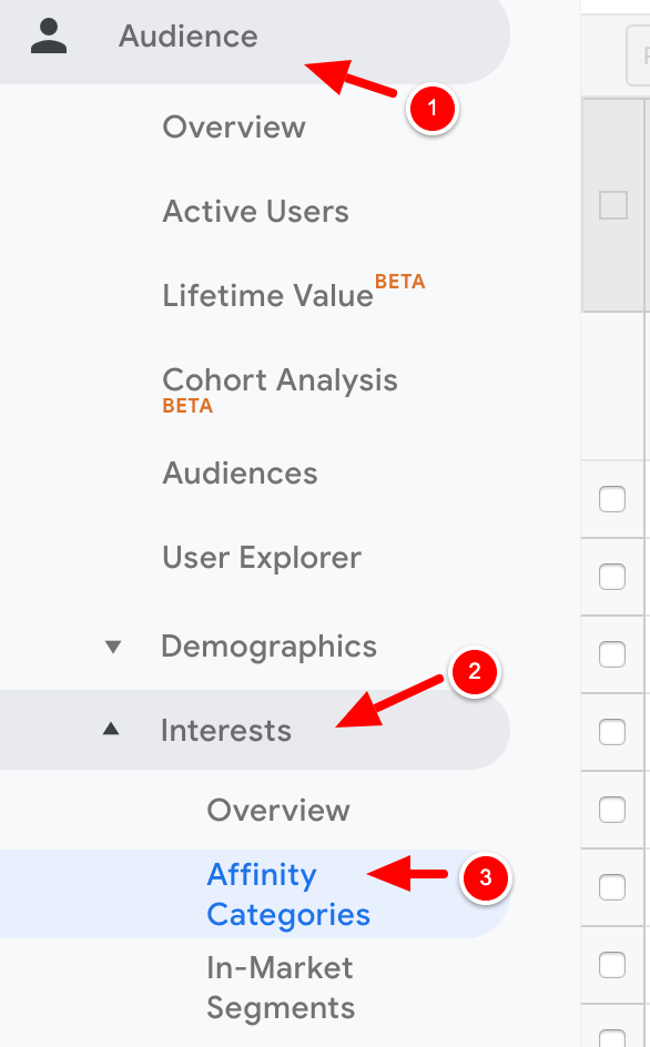 affinity reports google analytics