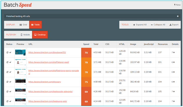 website loading Speed Example from Batch Speed